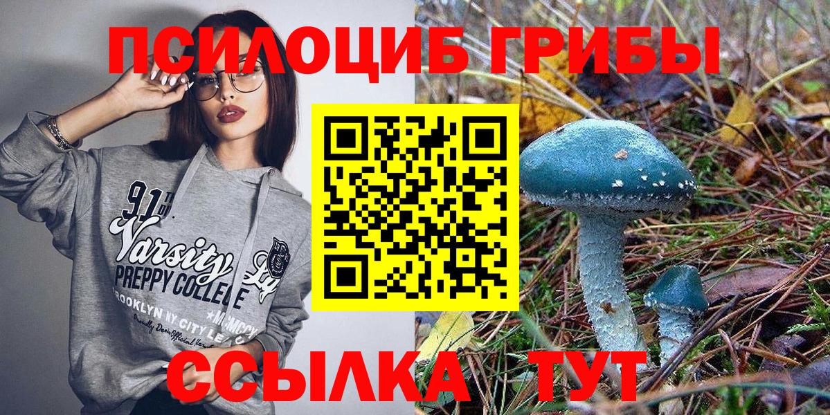 Кострома  Псилоцибиновые грибы Cubensis  цены наркотик  Вход с VPN 